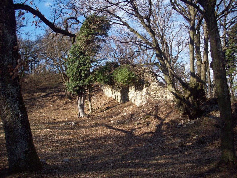 Pécselyi kirándulások